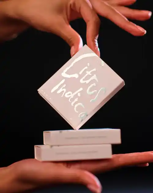 Citrus Indica box held in held