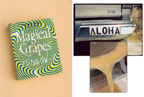 Magical Grapes edibles by Rose Los Angeles box design on left and hand-pressed Shinano grape juice on right.