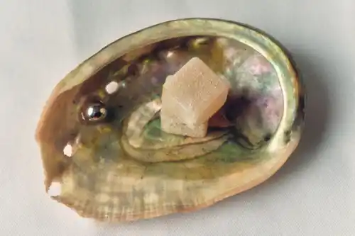 Lychee martini Delight sits inside an blue and green abalone shell