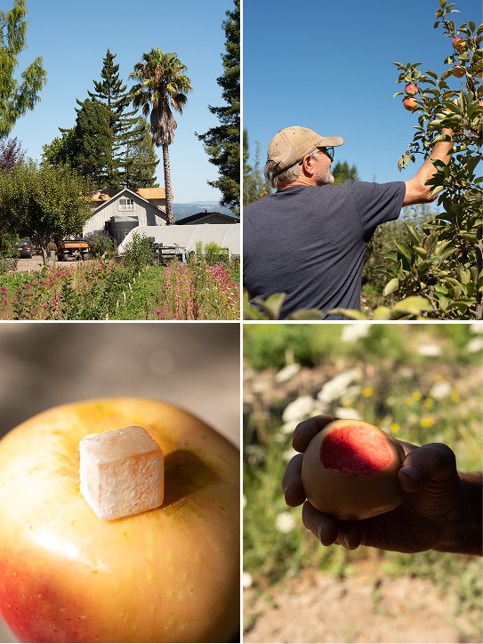 10mg Delights made with California heirloom Pink Pearl apples and sun-grown flower rosin.
Whole ingredients. Heightened experience.