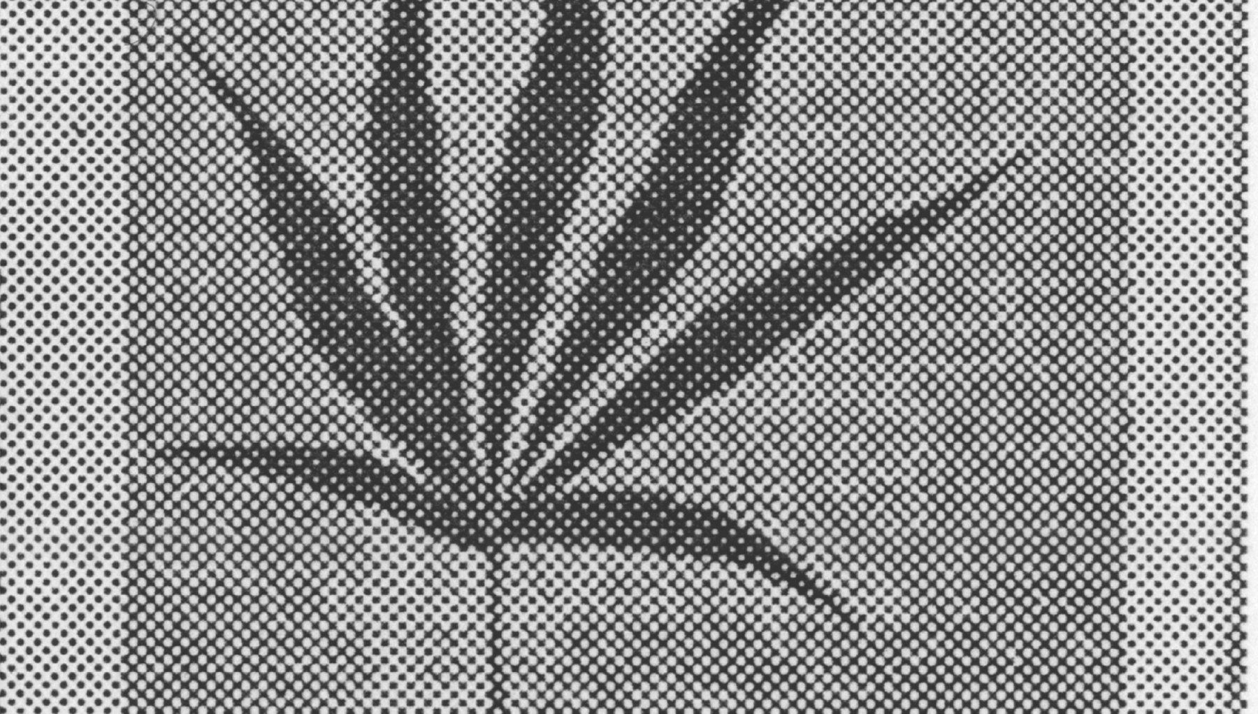 Black and white scan of cannabis leaf
