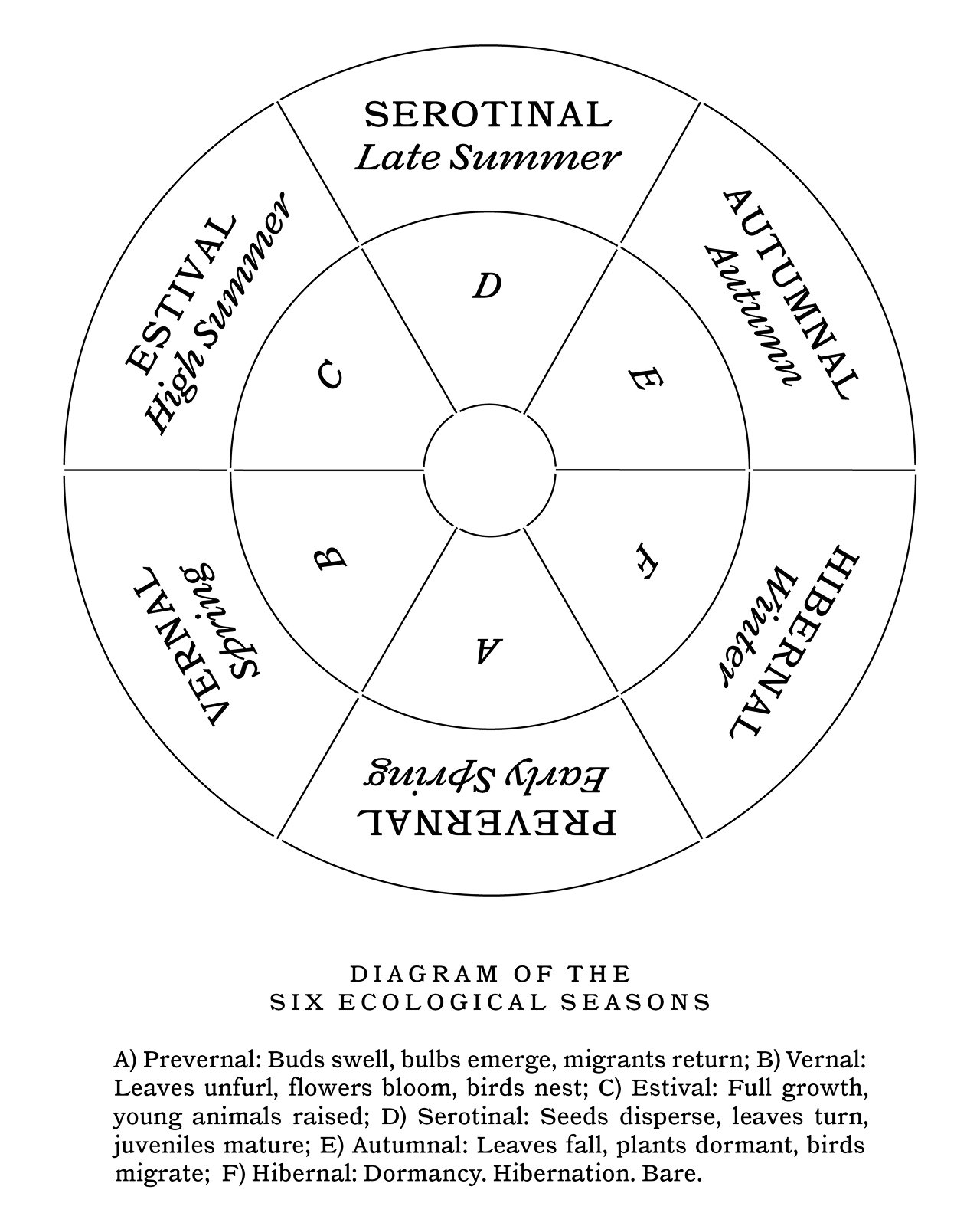 Diagram of the sex ecological seasons