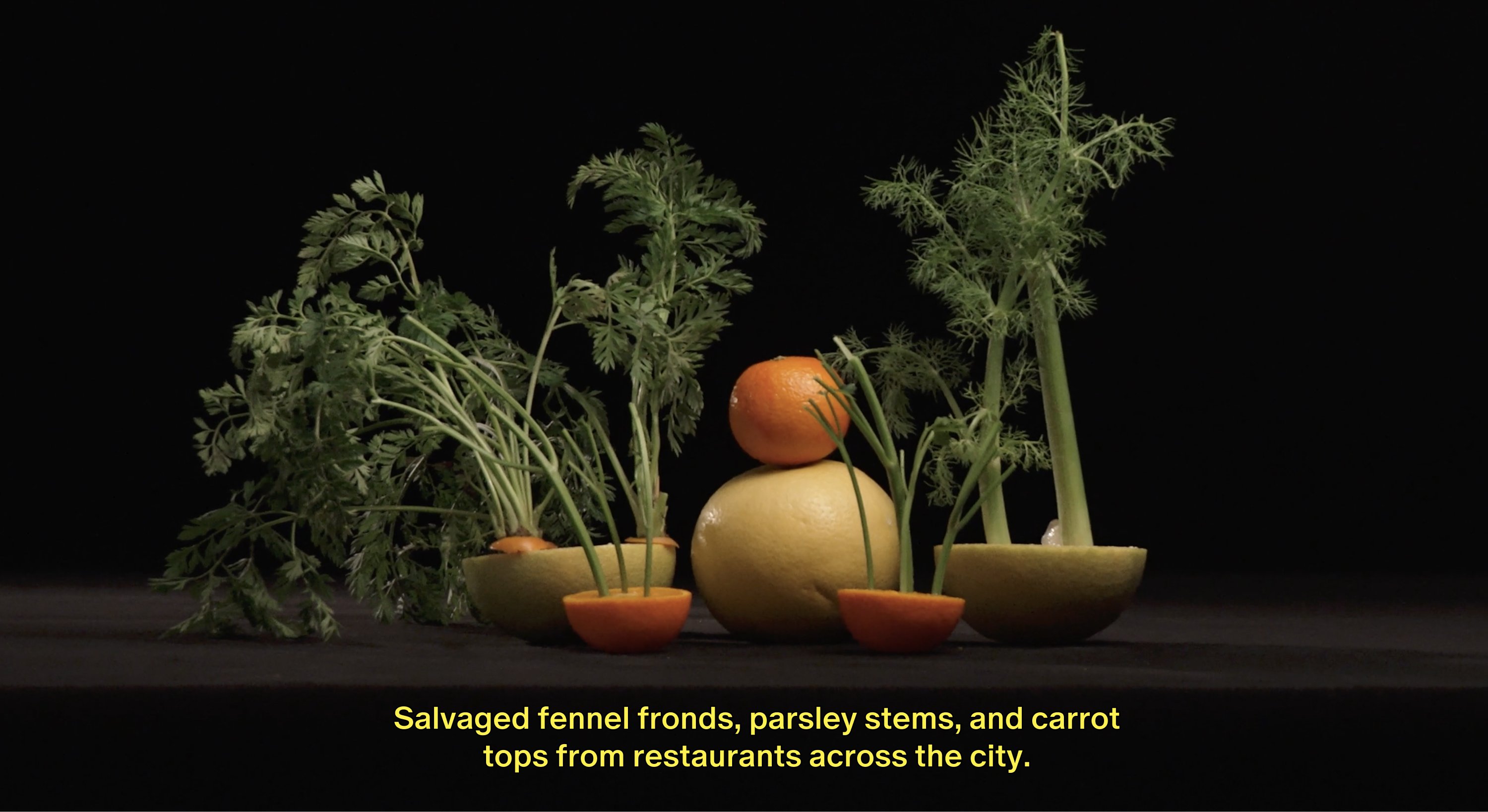 Ingredients prepped for making almost wasted rose delights.