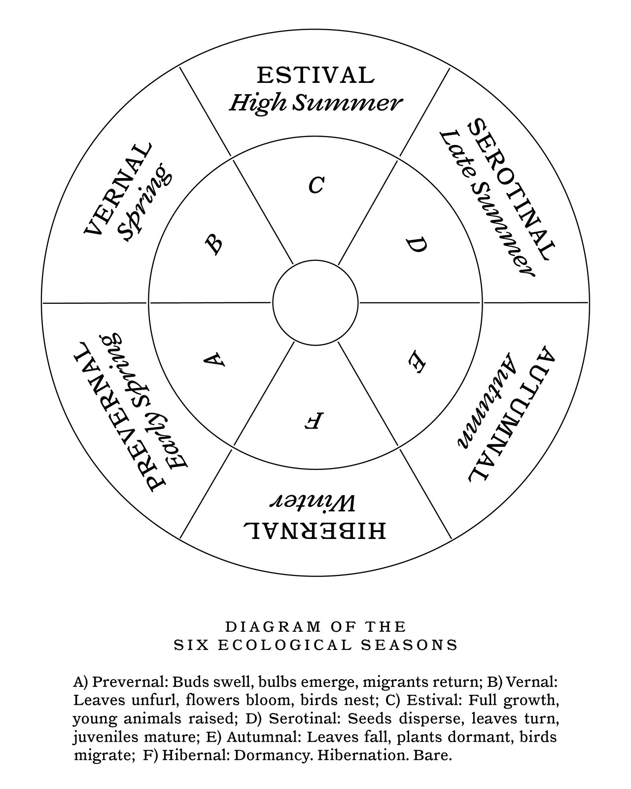 Diagram of the six ecological seasons