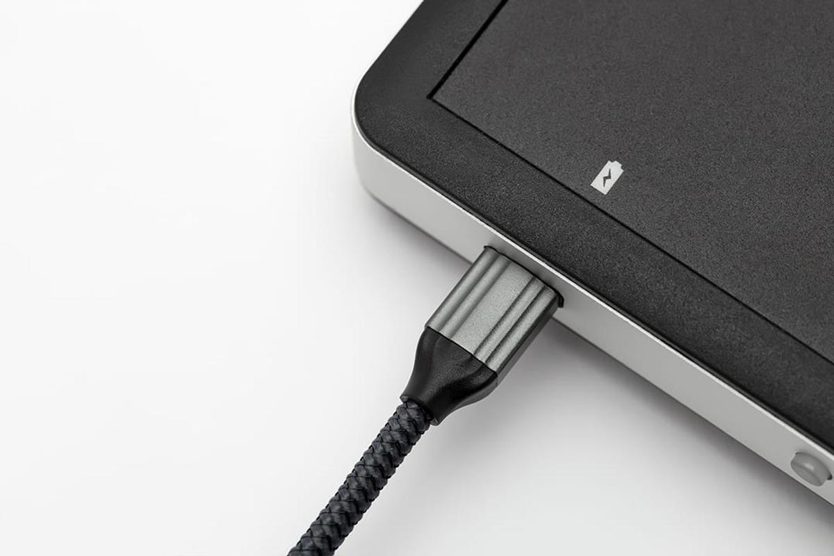 Eletrocardiógrafo veterinário INcardio X: aparelho, kit e conectividade