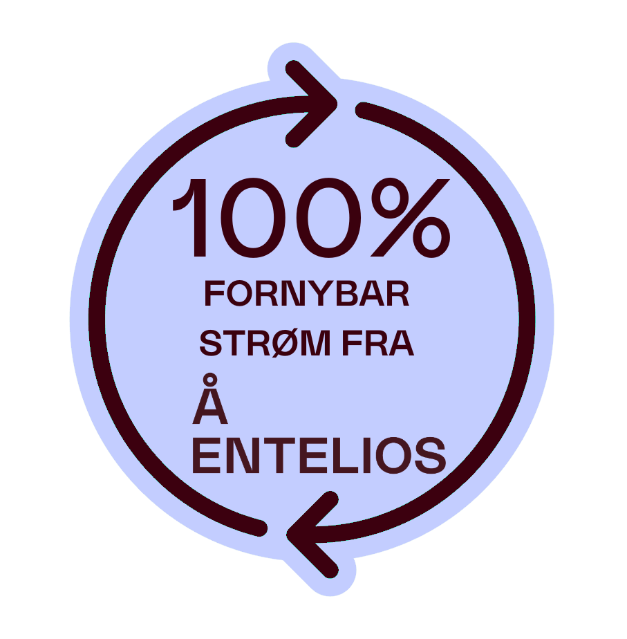 100% fornybar