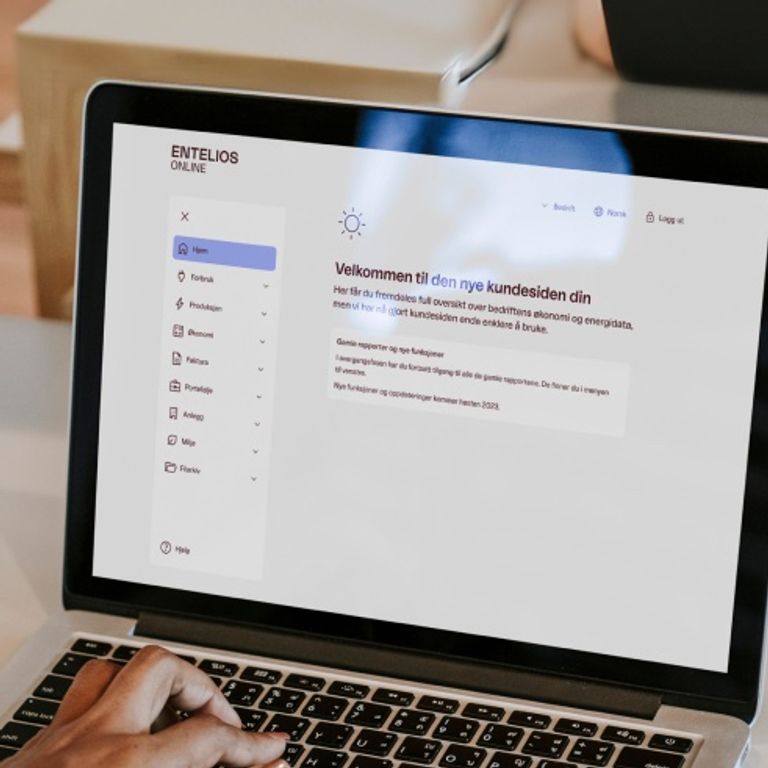 Entelios online on computer