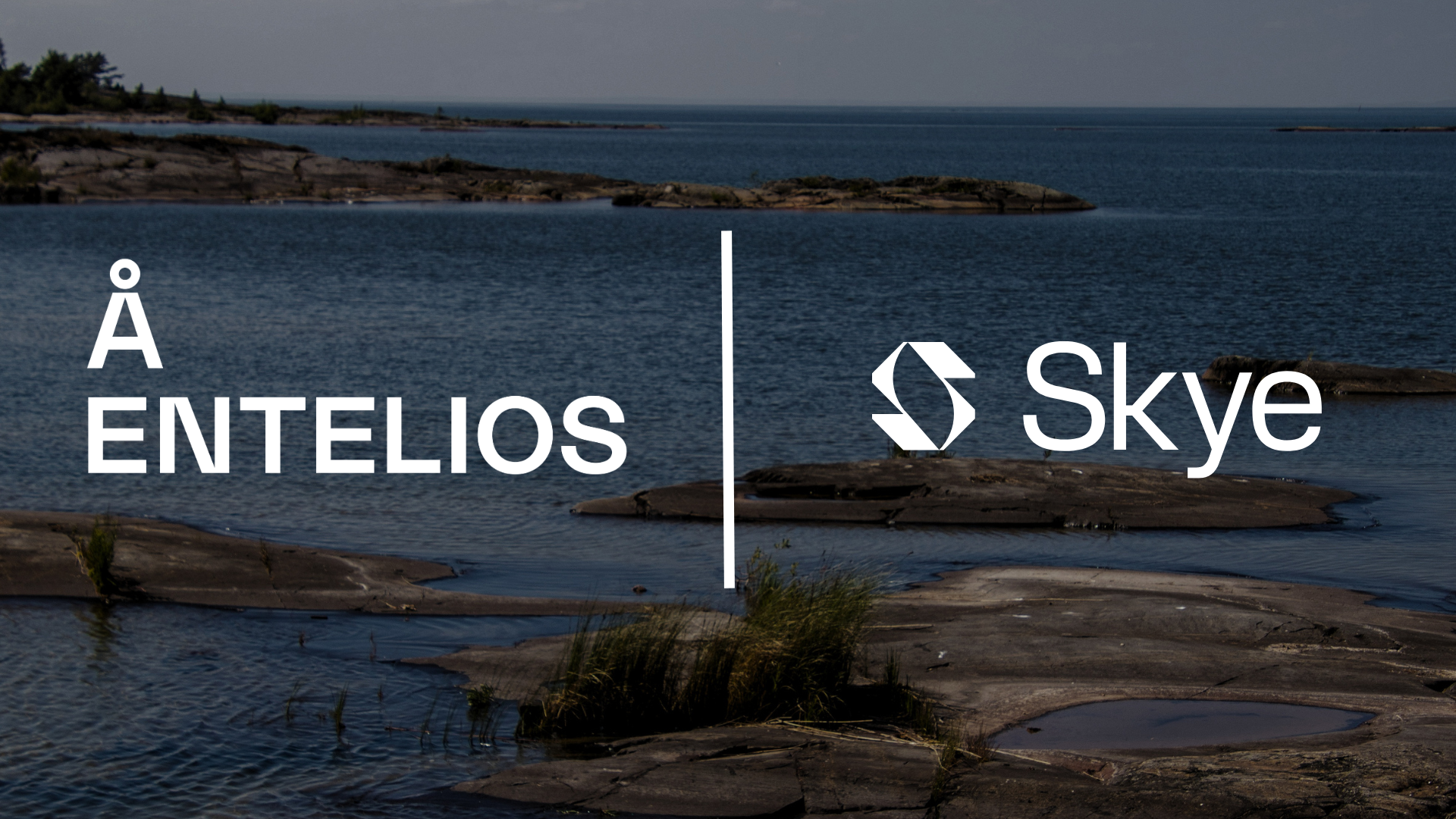 Å Entelios and Skye logotype with swedish nature in the background