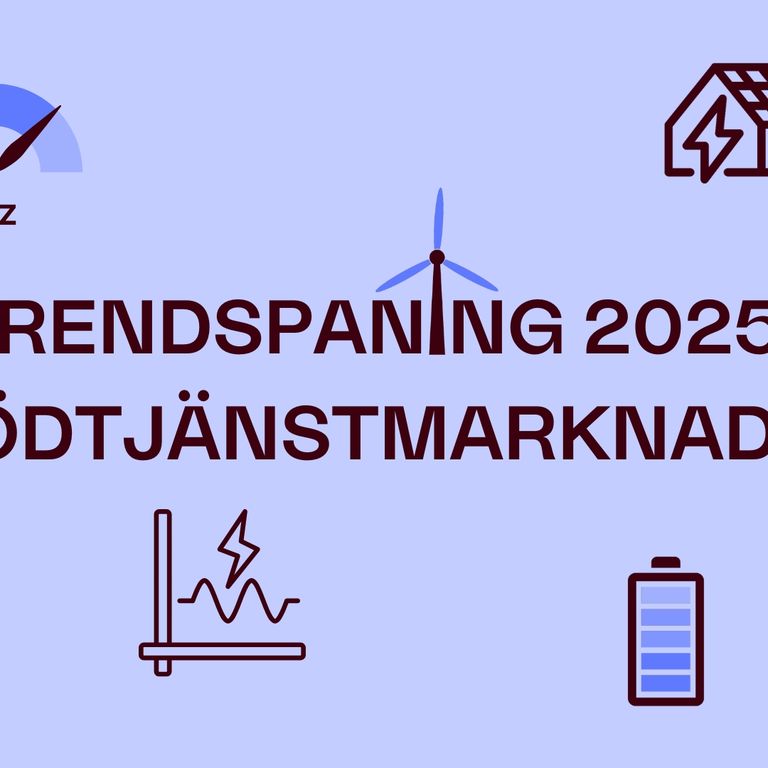 Trendspaning stödtjänstmarknaden