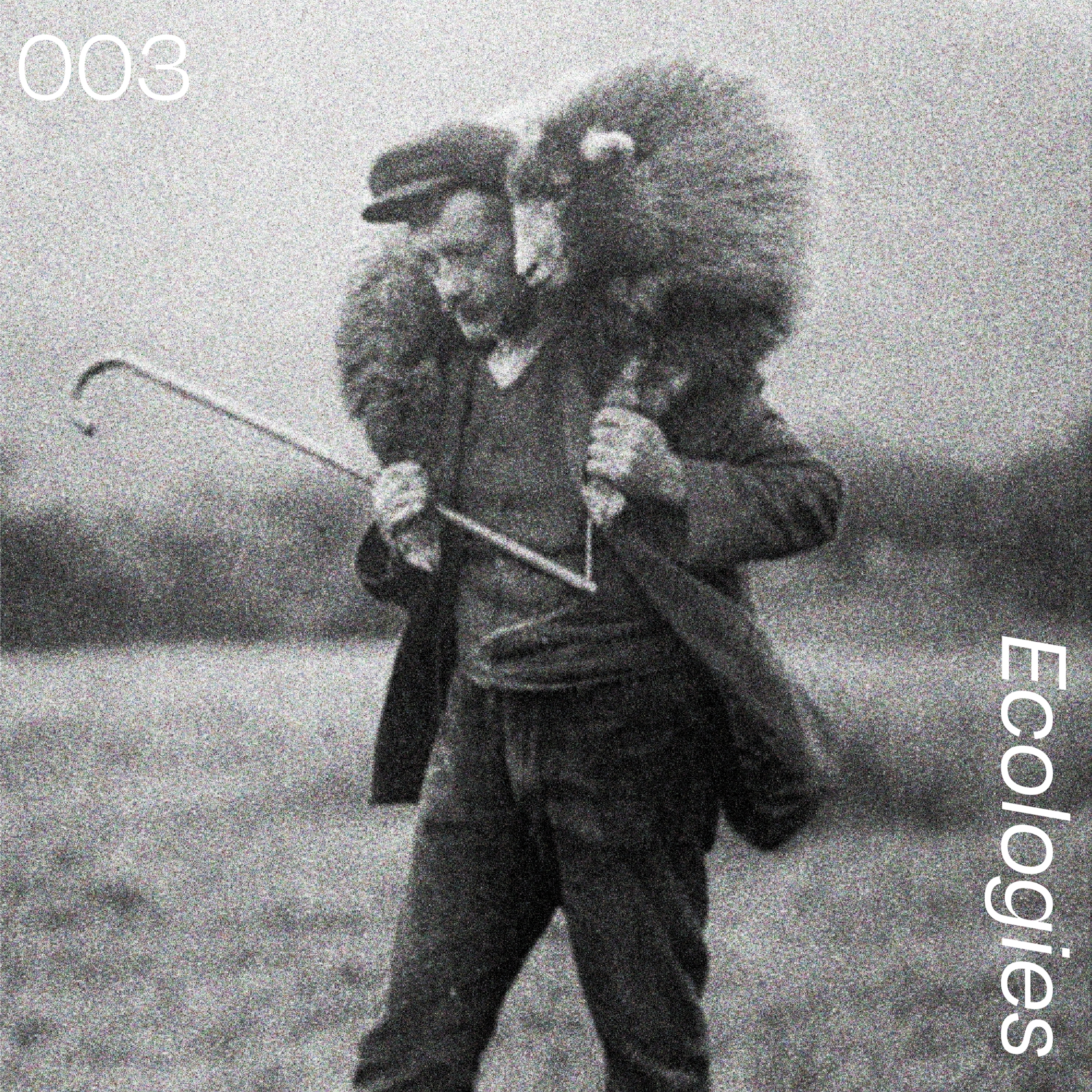 Cover image for Living Rhythms 003 Ecologies show