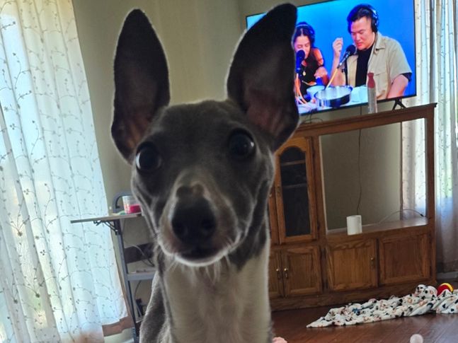 Rocco