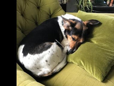 Esther