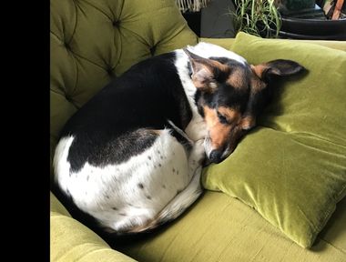 Esther