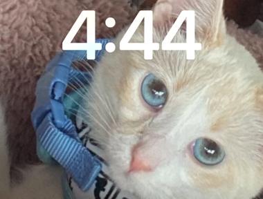Seven