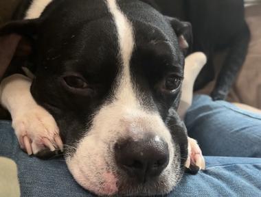 Roscoe