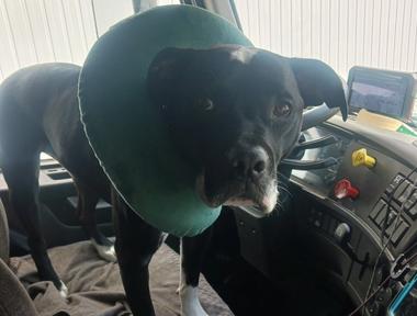 Trucker