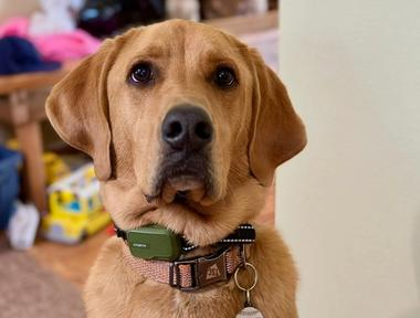 Jax