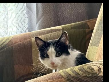 Chloe