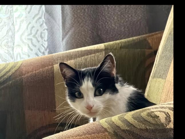 Chloe