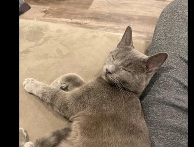Snuggles