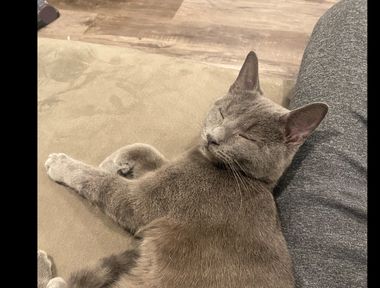 Snuggles