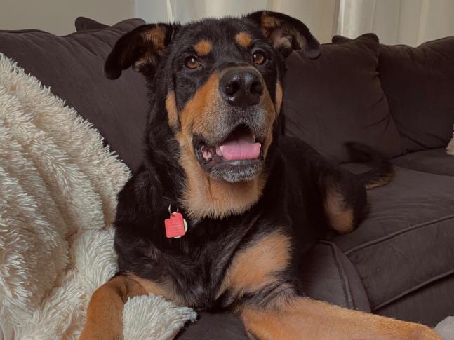 Nash