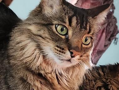 Max