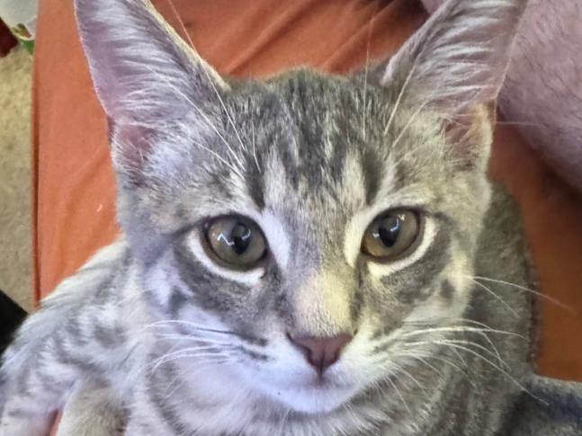 Jinx