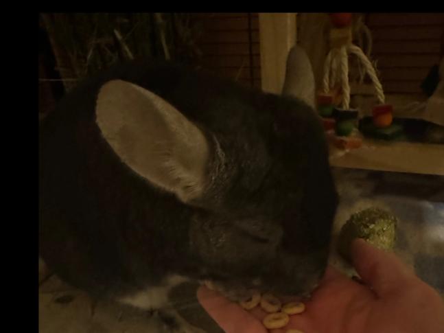 Nimbus