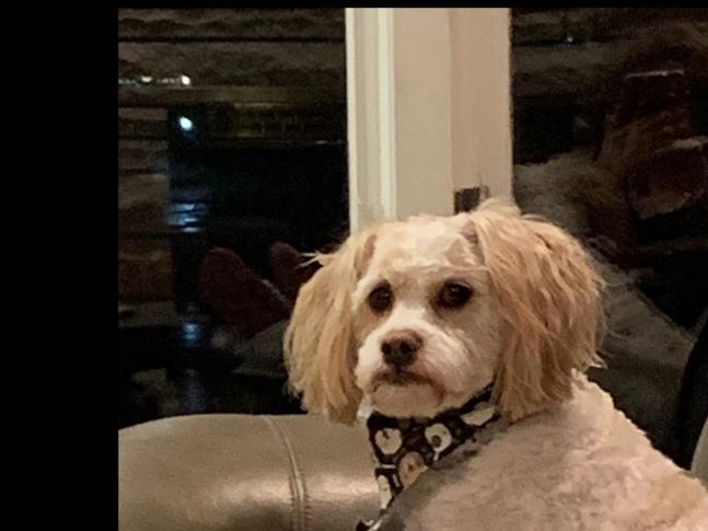 Tucker