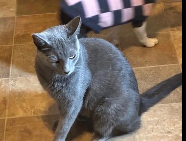 Franklin
