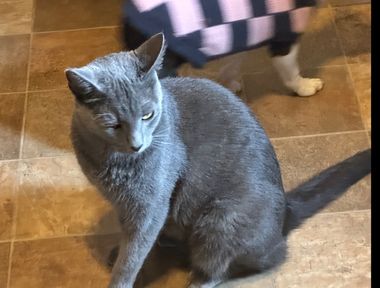 Franklin
