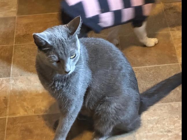 Franklin