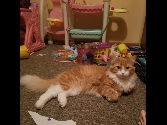 Simba