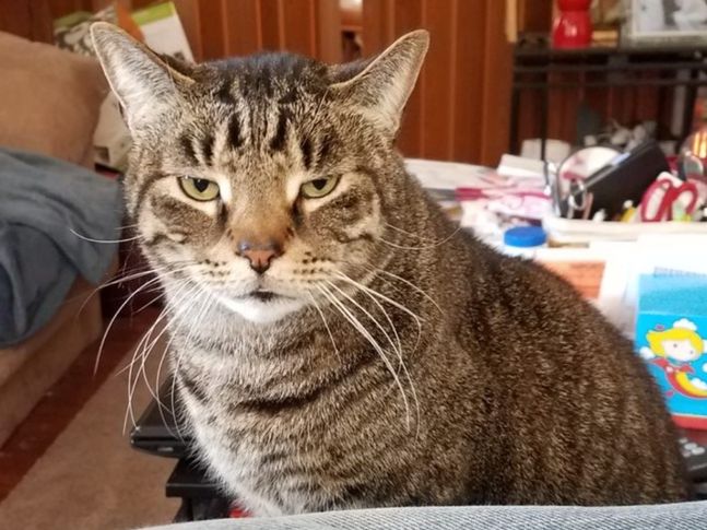 Kiki