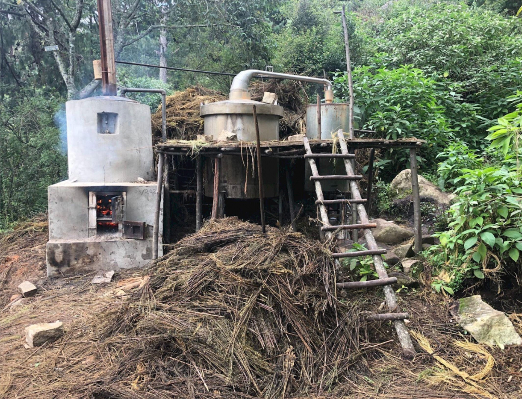 Chanelle Adams, Essential Oil Production, Madagascar