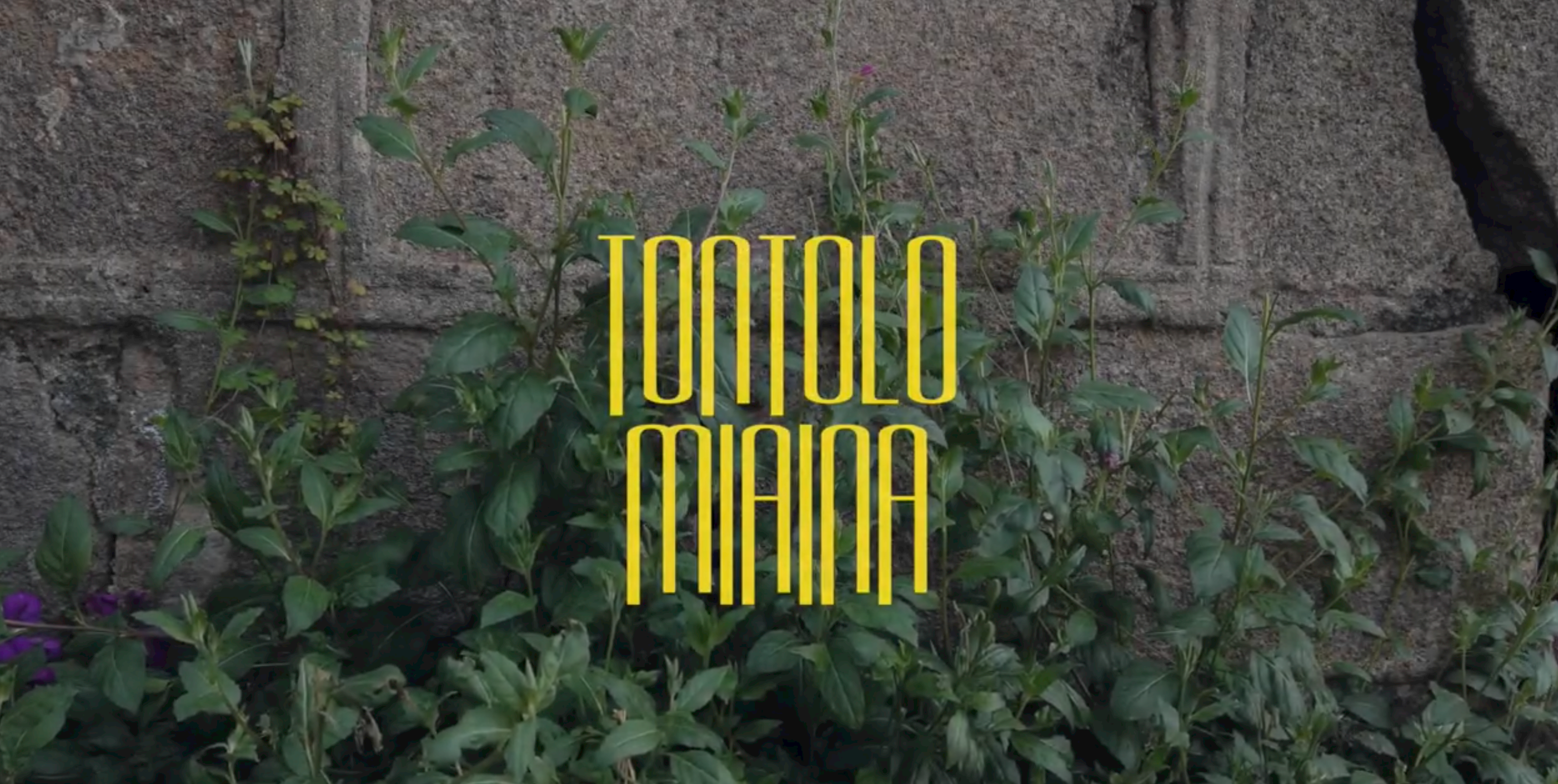 Tontolo Miana Still