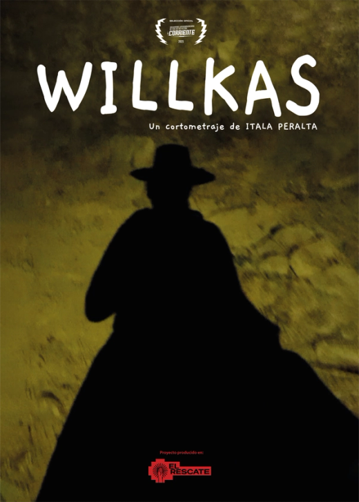 Afiche de WILLKAS
