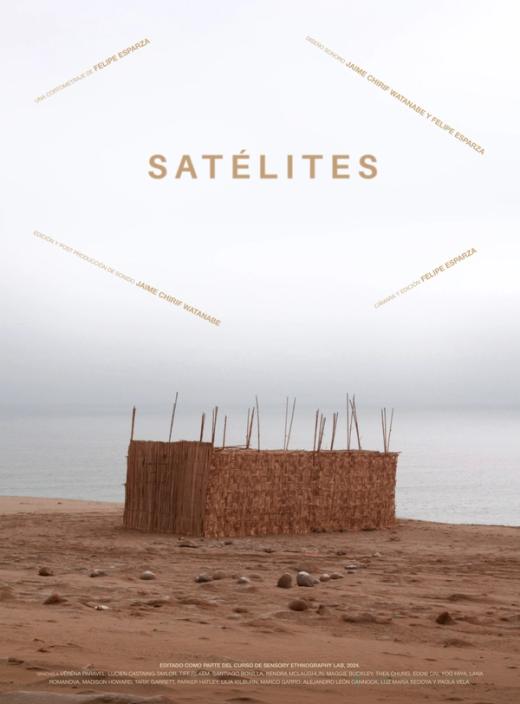 Afiche de SATÉLITES