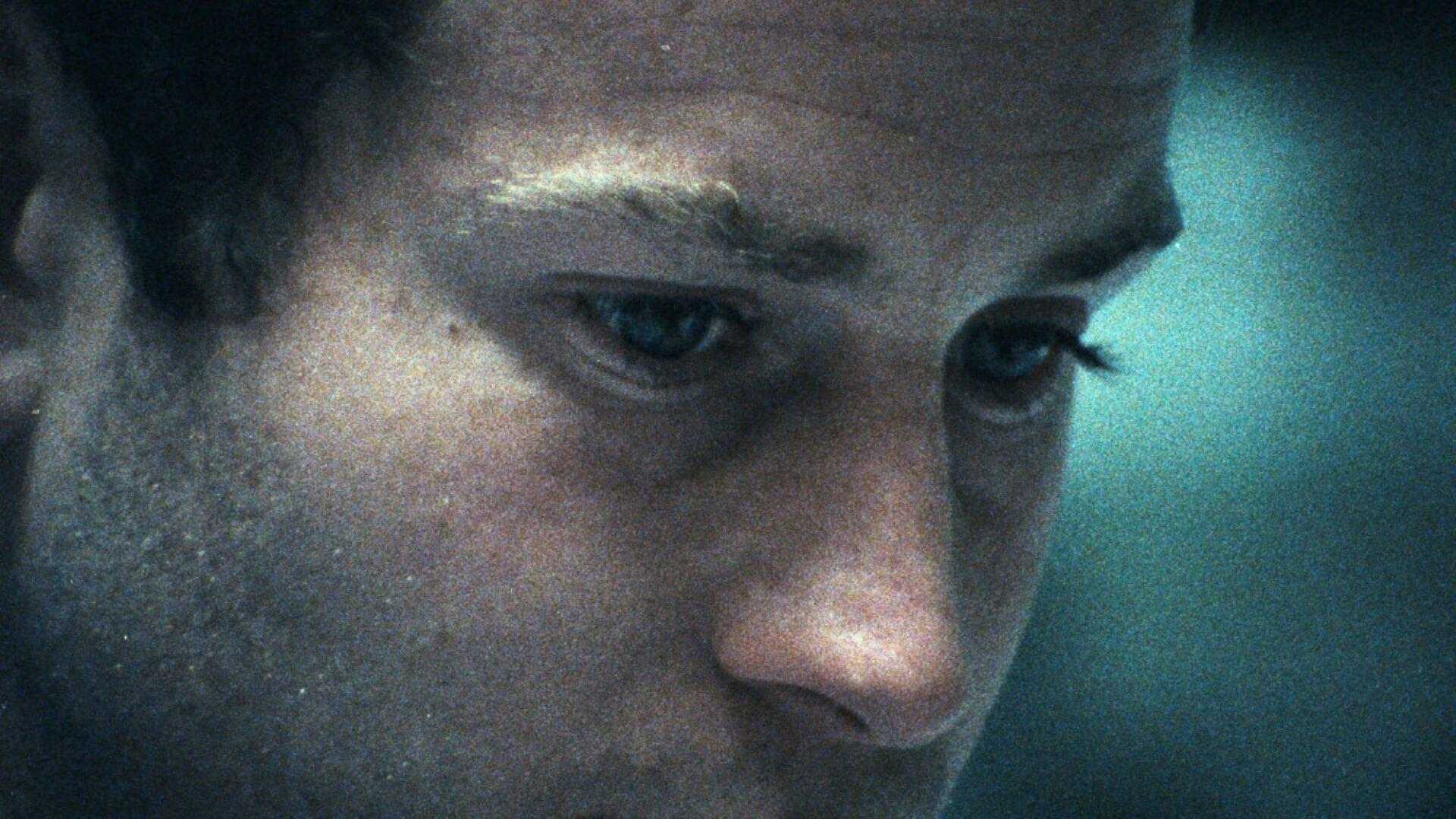 MUESTRA INTERNACIONAL