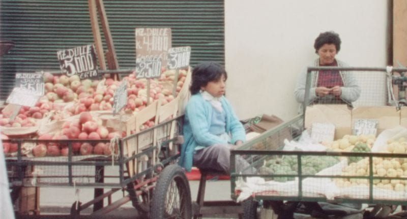 Los Niños Que Vinieron