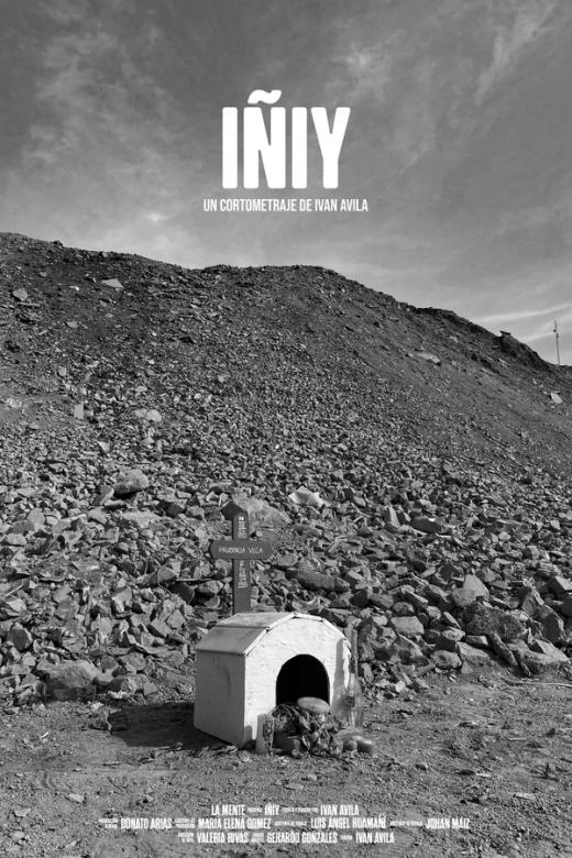 Afiche de IÑIY