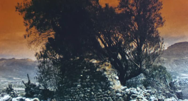 CUANDO EL MUNDO OSCURECIÓ