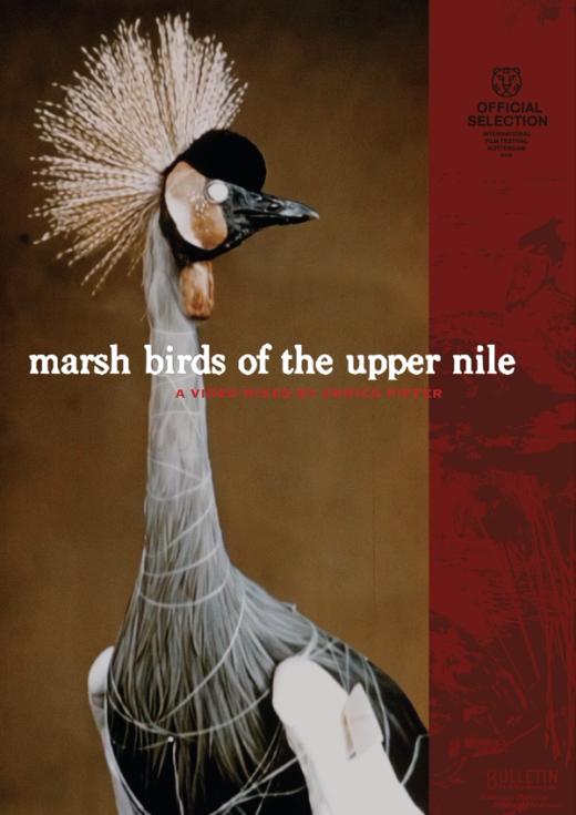 Afiche de Marsh birds of the Upper Nile