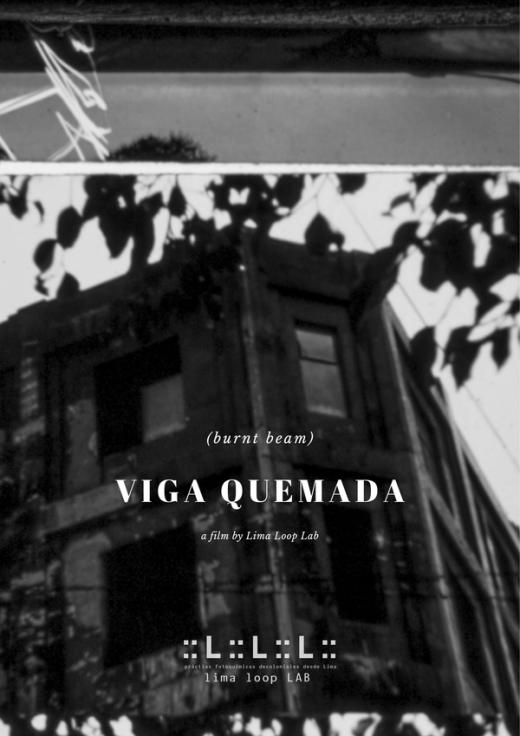 Afiche de VIGA QUEMADA
