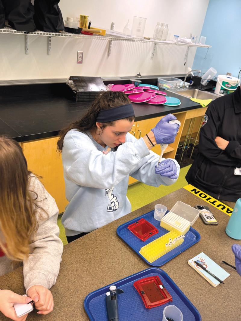 Miss Hall's School in the Berkshires Advanced Science