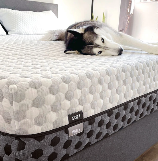 Best Organic Mattress and Natural Beds Under $1000