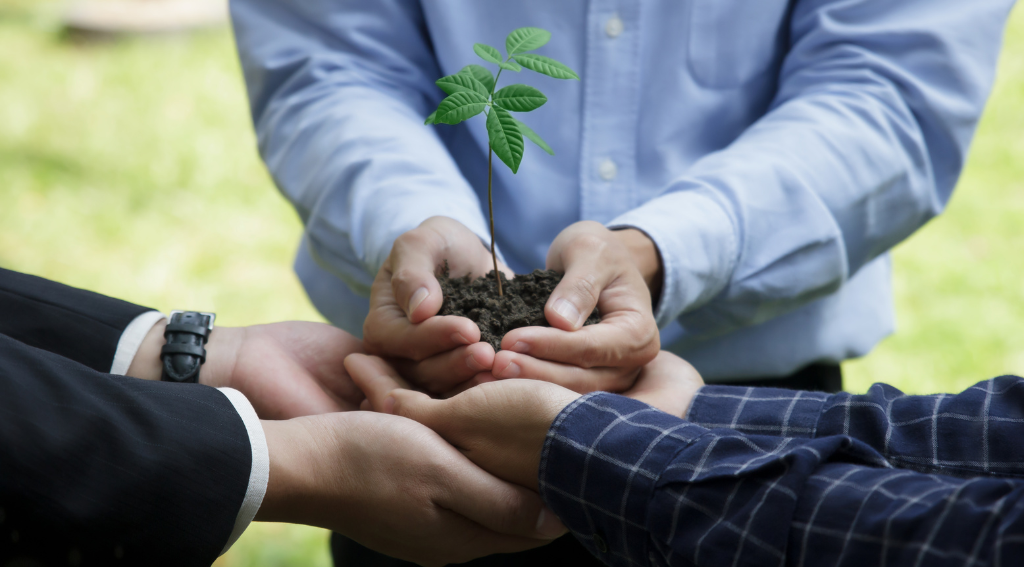 Sustainable & Ethical Investing for Beginners | A Full Guide