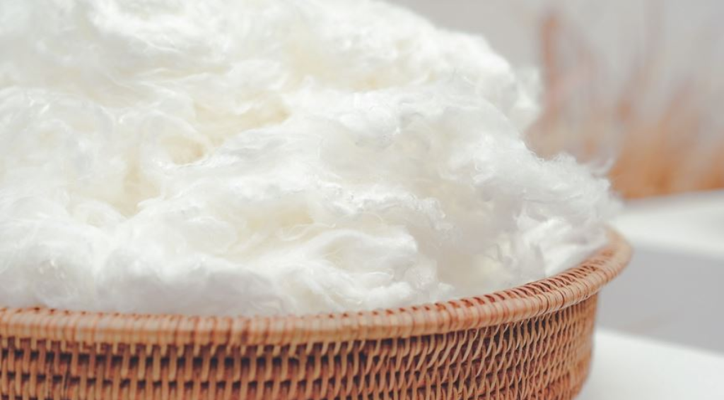 Is Viscose Fabric Sustainable?