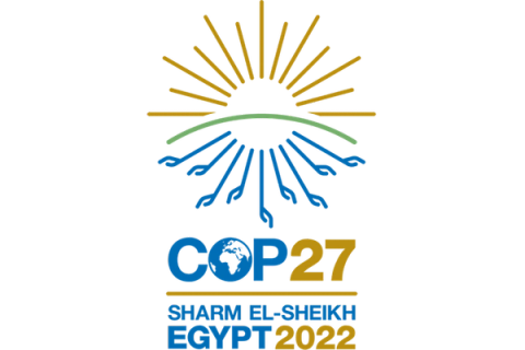 COP27